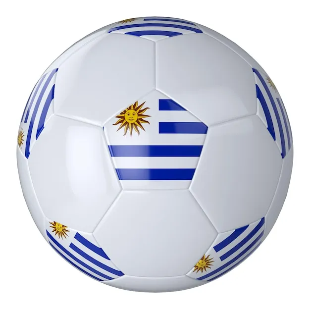 Lejing Sports VIP Portal